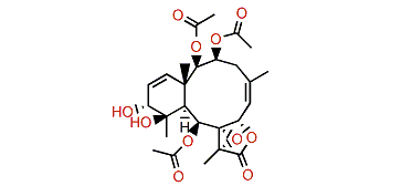 Briarenol G